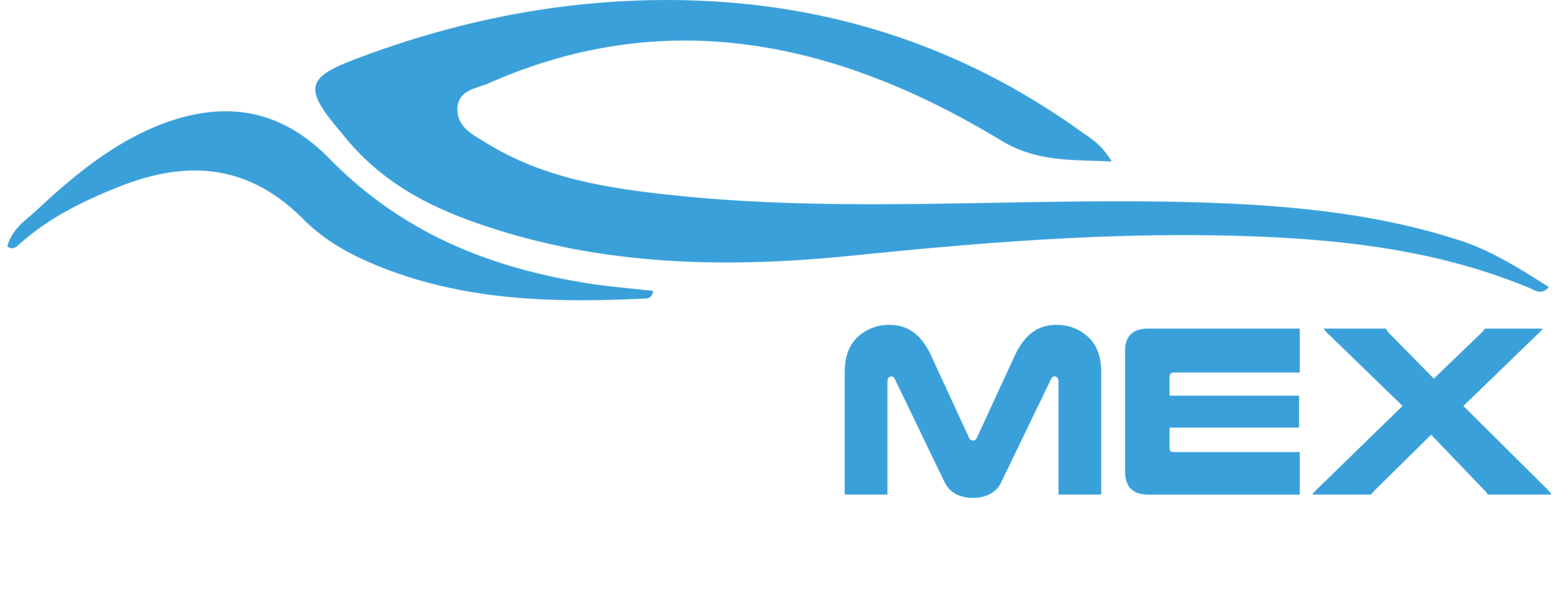 BOREMEX